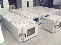 广州定制电热恒温干燥箱