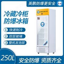 重庆防爆冰箱冷藏柜 立式双门冰柜500L